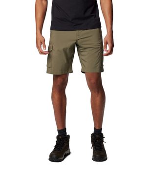 Silver Ridge Utility Cargo Shorts