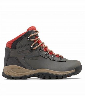 Newton Ridge Plus Waterproof Hiking Boots